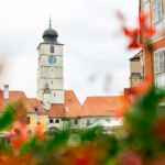 Wegańskie i roślinne źródła białka do lunchów w biurze, które wspierają zdrowie jelit