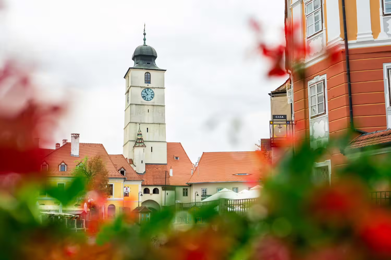 Restauracja Alpin Szczyrk – Twoje idealne miejsce na górskie smaki - 2