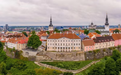 Zimowe przechowywanie kosiarki spalinowej a gotowość do uruchomienia wiosną: jak dbać o paliwo i gaźnik, by uniknąć problemów